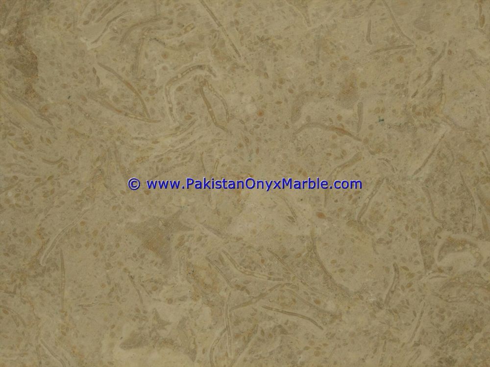 marble-tiles-travera-marble-natural-stone-for-floor-walls-bathroom-kitchen-home-decor-01